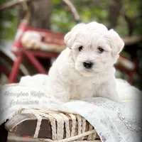 processed/214f009f-1772-4fdc-95f9-400d9498d199/facility/f68c921b-3ff7-447e-8da6-4d3c1e542c8b