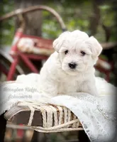 processed/214f009f-1772-4fdc-95f9-400d9498d199/facility/f68c921b-3ff7-447e-8da6-4d3c1e542c8b