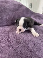 processed/215b5e5c-ae50-4718-8008-d5a437a04908/listing/7f30fb64-a7d5-4da4-a051-e7e7a9eb43be/0837a1dd-fd18-4d4d-8420-1d4475665035