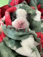 processed/215b5e5c-ae50-4718-8008-d5a437a04908/listing/7f30fb64-a7d5-4da4-a051-e7e7a9eb43be/29f707e1-725f-4983-9e70-b731ba20eb2b