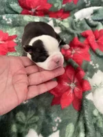 processed/215b5e5c-ae50-4718-8008-d5a437a04908/listing/7f30fb64-a7d5-4da4-a051-e7e7a9eb43be/960cef26-755b-4e6b-851f-a1cc043d8be5