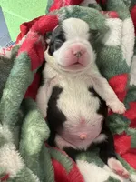 processed/215b5e5c-ae50-4718-8008-d5a437a04908/listing/7f30fb64-a7d5-4da4-a051-e7e7a9eb43be/d381f575-9f77-4811-b589-29ca922360ab