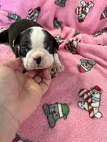 processed/215b5e5c-ae50-4718-8008-d5a437a04908/listing/7f30fb64-a7d5-4da4-a051-e7e7a9eb43be/f407097b-04af-41ee-9a69-ddf46e1b4da0