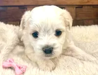 processed/215b8e18-49bf-443a-a072-f893597e2533/listing/2962fdee-cb48-4ab4-98a0-664d4f4ce5f3/0c018e6c-5ba5-4913-bbd0-be26a807e9fe