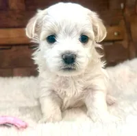 processed/215b8e18-49bf-443a-a072-f893597e2533/listing/2962fdee-cb48-4ab4-98a0-664d4f4ce5f3/ac2713b9-ea9f-4195-a21f-0ed7bf79c69a