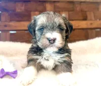 processed/215b8e18-49bf-443a-a072-f893597e2533/listing/b4331af7-556a-4618-a166-da02112c77e3/7e968ca9-429e-4e25-b862-c2a9603be79d