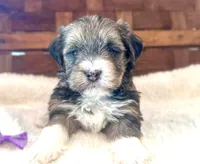 processed/215b8e18-49bf-443a-a072-f893597e2533/listing/b4331af7-556a-4618-a166-da02112c77e3/f5bce546-8789-4a65-baeb-96ad0428aae6