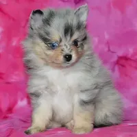 processed/215e9f2b-c220-497b-a325-1be267122a55/facility/89c7faf5-eccc-46ed-b3be-32a0723e19c5