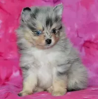 processed/215e9f2b-c220-497b-a325-1be267122a55/facility/89c7faf5-eccc-46ed-b3be-32a0723e19c5