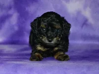 processed/215e9f2b-c220-497b-a325-1be267122a55/listing/2e6d420e-1b66-4d17-89d0-2e76d6064896/72818adb-e4d1-4bfe-a49a-289e0b6d5ff5