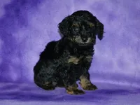 processed/215e9f2b-c220-497b-a325-1be267122a55/listing/2e6d420e-1b66-4d17-89d0-2e76d6064896/89fb0554-fda5-4712-8b6c-c2fee8cd4f2d