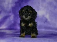 processed/215e9f2b-c220-497b-a325-1be267122a55/listing/2e6d420e-1b66-4d17-89d0-2e76d6064896/a2348066-52ee-4c95-a857-02bc890b41f4