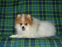 processed/215e9f2b-c220-497b-a325-1be267122a55/listing/bd94ad66-f079-4c94-b835-59ee6169a57b/233d0a13-6fd5-4319-b8e9-017dcee6f97f