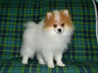 processed/215e9f2b-c220-497b-a325-1be267122a55/listing/bd94ad66-f079-4c94-b835-59ee6169a57b/7c32931a-cd00-45d8-b27e-0e00dd57ba19