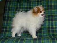 processed/215e9f2b-c220-497b-a325-1be267122a55/listing/bd94ad66-f079-4c94-b835-59ee6169a57b/89635e36-1982-4092-a162-6b559c12d15f