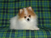 processed/215e9f2b-c220-497b-a325-1be267122a55/listing/bd94ad66-f079-4c94-b835-59ee6169a57b/9ec534f7-2ca9-4aa9-a072-c0bfb43e3ccc