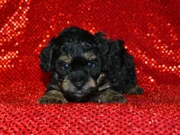 processed/215e9f2b-c220-497b-a325-1be267122a55/listing/e454aa8d-5f08-44d4-a4ca-c549dab37d27/25a32b42-8ab4-4ca5-98f1-40bd3911c236