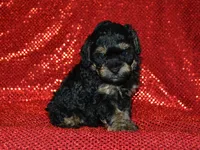 processed/215e9f2b-c220-497b-a325-1be267122a55/listing/e454aa8d-5f08-44d4-a4ca-c549dab37d27/5d3ca046-b4fb-47a4-972a-947a8a962205