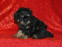 processed/215e9f2b-c220-497b-a325-1be267122a55/listing/e454aa8d-5f08-44d4-a4ca-c549dab37d27/eee9c75a-c8f6-439a-8c59-79f23ff0498f