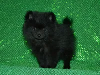 processed/215e9f2b-c220-497b-a325-1be267122a55/listing/ecc41dee-609a-4486-8796-a298f4b4ec3d/19bed62a-bcb3-4824-b01a-f45a238ebdb3