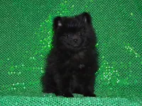 processed/215e9f2b-c220-497b-a325-1be267122a55/listing/ecc41dee-609a-4486-8796-a298f4b4ec3d/760a95f3-9a9b-4cd3-b0dd-3fc1f841af00