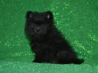 processed/215e9f2b-c220-497b-a325-1be267122a55/listing/ecc41dee-609a-4486-8796-a298f4b4ec3d/7962b1bb-b7bb-404e-9cab-76008aa32b8d