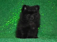 processed/215e9f2b-c220-497b-a325-1be267122a55/listing/ecc41dee-609a-4486-8796-a298f4b4ec3d/a03df045-22d5-4d6e-9da3-87954d1601ac