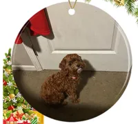 Bella , a female Cavapoo for sale in Columbus Grove, OH – Photo 1 of 3