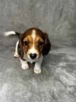 processed/216eb099-5458-498a-a475-0fe1722c75d9/listing/2136a29d-7da2-4547-ab2e-81972e5df3f4/19d15781-4b2a-4da9-abda-7e0f17a2b466