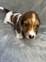 processed/216eb099-5458-498a-a475-0fe1722c75d9/listing/2136a29d-7da2-4547-ab2e-81972e5df3f4/6172c535-cdb9-4fca-866b-12e03b1e6b0c