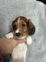 processed/216eb099-5458-498a-a475-0fe1722c75d9/listing/2136a29d-7da2-4547-ab2e-81972e5df3f4/a93b5a62-7e17-44f6-bde9-d5151ac7c56c