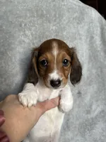 processed/216eb099-5458-498a-a475-0fe1722c75d9/listing/2136a29d-7da2-4547-ab2e-81972e5df3f4/f5be98d9-8d2b-467a-839b-e0eb9b1db933