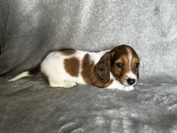 processed/216eb099-5458-498a-a475-0fe1722c75d9/listing/2136a29d-7da2-4547-ab2e-81972e5df3f4/f9562221-995f-4cdb-8d00-bca1a6091597