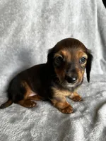 processed/216eb099-5458-498a-a475-0fe1722c75d9/listing/833f3f74-cfde-421e-99aa-359d761b3158/0a5b33c1-04d8-4033-ab70-c225a86f1d9d