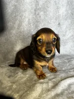 processed/216eb099-5458-498a-a475-0fe1722c75d9/listing/833f3f74-cfde-421e-99aa-359d761b3158/709eed2f-66ed-4792-9aba-046717d1a470