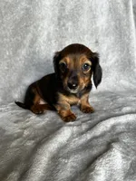 processed/216eb099-5458-498a-a475-0fe1722c75d9/listing/833f3f74-cfde-421e-99aa-359d761b3158/8caf6659-677c-4116-92f9-d124ed49d0f0