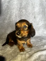 processed/216eb099-5458-498a-a475-0fe1722c75d9/listing/833f3f74-cfde-421e-99aa-359d761b3158/c6cf79c4-00f8-4158-8c7a-a5000e452208