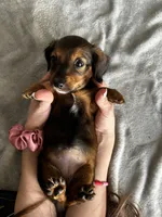 processed/216eb099-5458-498a-a475-0fe1722c75d9/listing/833f3f74-cfde-421e-99aa-359d761b3158/d6c3ae83-47a5-4a05-9fea-4685712109b4