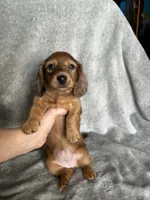 processed/216eb099-5458-498a-a475-0fe1722c75d9/listing/f871a19c-90a7-4d72-81df-58d92243ef8e/153a4bf3-1330-43ee-a184-cceeba6688c8