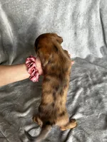 processed/216eb099-5458-498a-a475-0fe1722c75d9/listing/f871a19c-90a7-4d72-81df-58d92243ef8e/3e448aa2-5384-4df1-88fe-e2d0549165d9