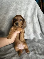 processed/216eb099-5458-498a-a475-0fe1722c75d9/listing/f871a19c-90a7-4d72-81df-58d92243ef8e/98d35a69-08ec-4493-9bb9-dc8f1d1be734