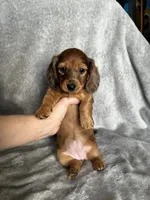 processed/216eb099-5458-498a-a475-0fe1722c75d9/listing/f871a19c-90a7-4d72-81df-58d92243ef8e/b84d2f48-a59f-4e6f-8aad-abd60ae11583