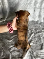 processed/216eb099-5458-498a-a475-0fe1722c75d9/listing/f871a19c-90a7-4d72-81df-58d92243ef8e/bf935e37-2e35-4698-a908-8c0433a139d6