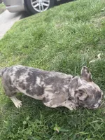 processed/217860c5-c060-43fc-8eca-2069e757b7c0/facility/2b7f7b3c-d600-49cf-920c-12d0e906e95a