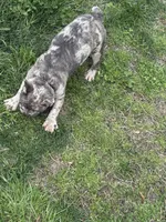 processed/217860c5-c060-43fc-8eca-2069e757b7c0/facility/31997bee-f607-48af-bc48-d5291df51ebb