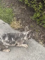 processed/217860c5-c060-43fc-8eca-2069e757b7c0/facility/5e2cd11c-fd87-4c41-921c-9a483b690a4a