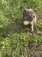 processed/217860c5-c060-43fc-8eca-2069e757b7c0/facility/f14d14f7-0956-4030-b49f-7d5e798a3eb2