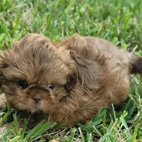 processed/217987b1-4917-4ba1-b0e2-68473c704e2b/facility/40cfada9-588f-4895-8cc9-c844a2bc4262