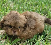 processed/217987b1-4917-4ba1-b0e2-68473c704e2b/facility/40cfada9-588f-4895-8cc9-c844a2bc4262