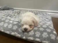 processed/217ecb50-6e5c-45ce-859e-d6a925cc8592/listing/27c58ba4-7530-4dfc-b6cf-aca6b77c700e/7c8f662d-976e-4625-9a93-47da96447a86